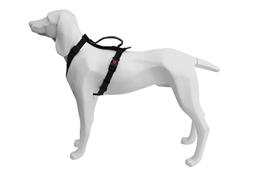CINTURON DE SEGURIDAD FREEDOG