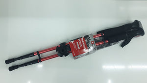 BASTON JUEGO TREKKING +8000