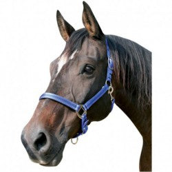 CABEZADA NYLON 900093 V/B/N